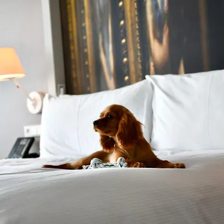 Hotel Doubletree By Hilton 5*